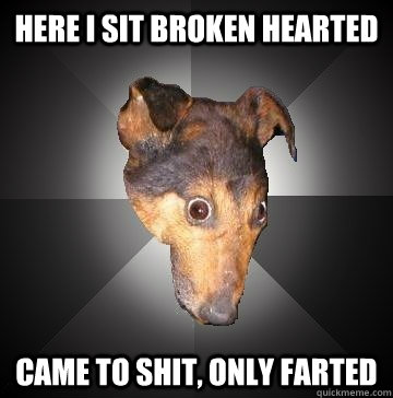 here i sit broken hearted came to shit, only farted  Depression Dog