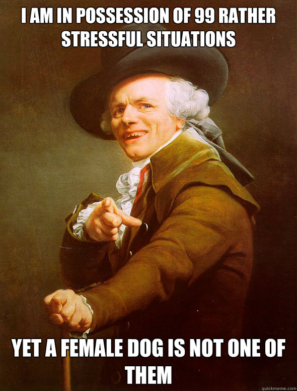 I am in possession of 99 rather stressful situations Yet a female dog is not one of them - I am in possession of 99 rather stressful situations Yet a female dog is not one of them  Joseph Ducreux