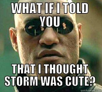 WHAT IF I TOLD YOU THAT I THOUGHT STORM WAS CUTE? Matrix Morpheus