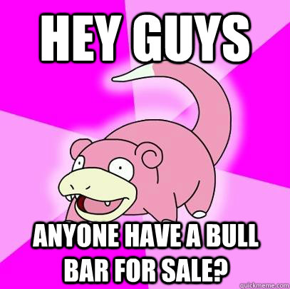 Hey guys Anyone have a bull bar for sale?  Slowpoke