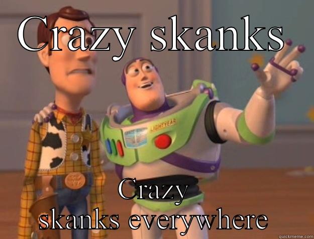 CRAZY SKANKS CRAZY SKANKS EVERYWHERE Toy Story