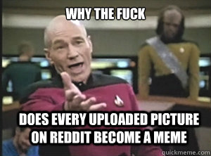 why the fuck does every uploaded picture on reddit become a meme - why the fuck does every uploaded picture on reddit become a meme  Annoyed Picard