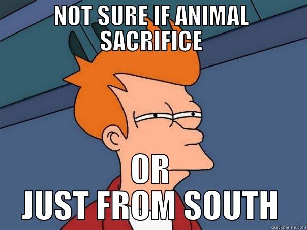 NOT SURE IF ANIMAL SACRIFICE OR JUST FROM SOUTH Futurama Fry