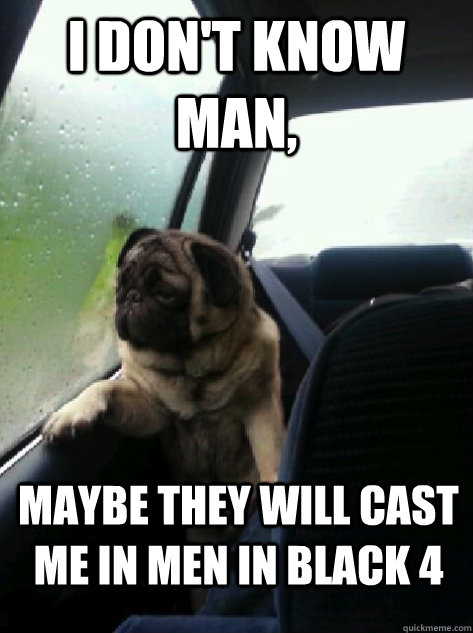 I don't know man, Maybe they will cast me in Men in black 4  Introspective Pug