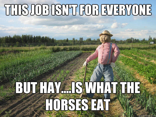 This job isn't for everyone But Hay....is what the horses eat  Scarecrow