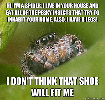 Hi. i'm a spider. I live in your house and eat all of the pesky insects that try to inhabit your home. also, i have 8 legs! I don't think that shoe will fit me - Hi. i'm a spider. I live in your house and eat all of the pesky insects that try to inhabit your home. also, i have 8 legs! I don't think that shoe will fit me  Misunderstood Spider