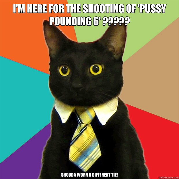 I'm here for the shooting of 'Pussy pounding 6' ????? Shouda worn a different tie!  Business Cat