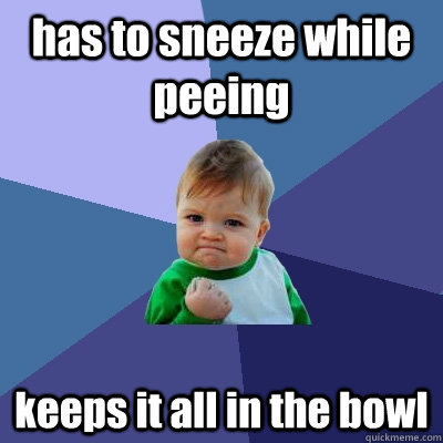 has to sneeze while peeing keeps it all in the bowl - has to sneeze while peeing keeps it all in the bowl  Success Kid