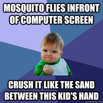 Mosquito flies infront of computer screen crush it like the sand between this kid's hand  Success Kid