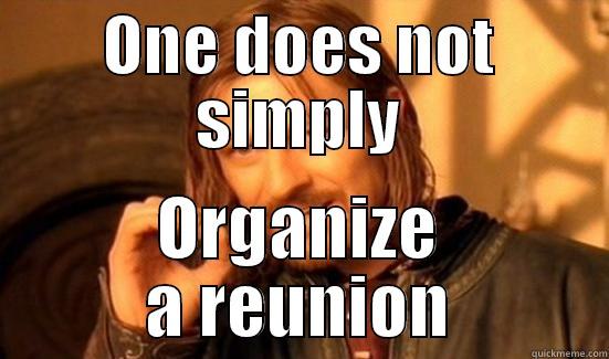 fsd sdfq  fsq - ONE DOES NOT SIMPLY ORGANIZE A REUNION Boromir