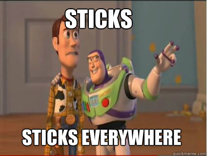 Sticks sticks everywhere  woody and buzz