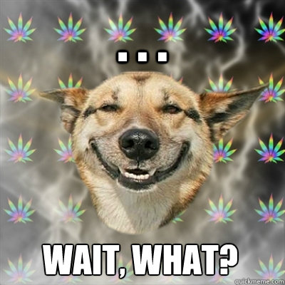 . . .  wait, what?  Stoner Dog