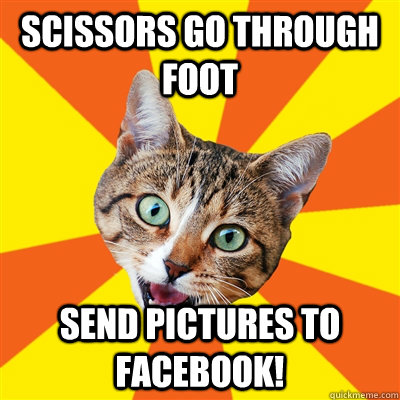 Scissors go through foot Send pictures to facebook!  Bad Advice Cat