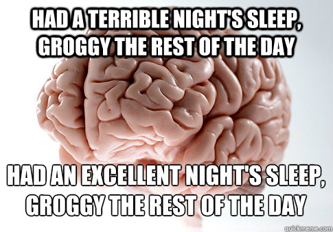 Had a terrible night's sleep, groggy the rest of the day had an excellent night's sleep, groggy the rest of the day  Scumbag Brain