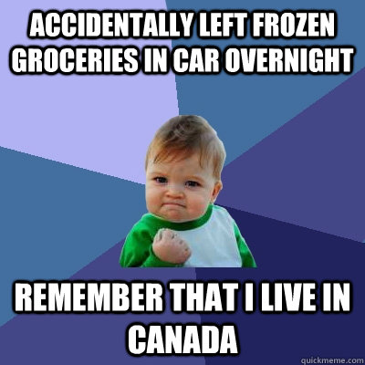 ACCIDENTALLY LEFT FROZEN GROCERIES IN CAR OVERNIGHT remember that i live in canada  Success Kid