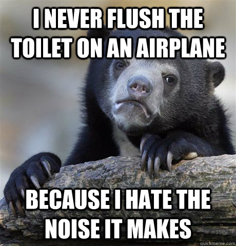 I never flush the toilet on an airplane because i hate the noise it makes  Confession Bear