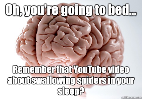 Oh, you're going to bed... Remember that YouTube video about swallowing spiders in your sleep?   Scumbag Brain