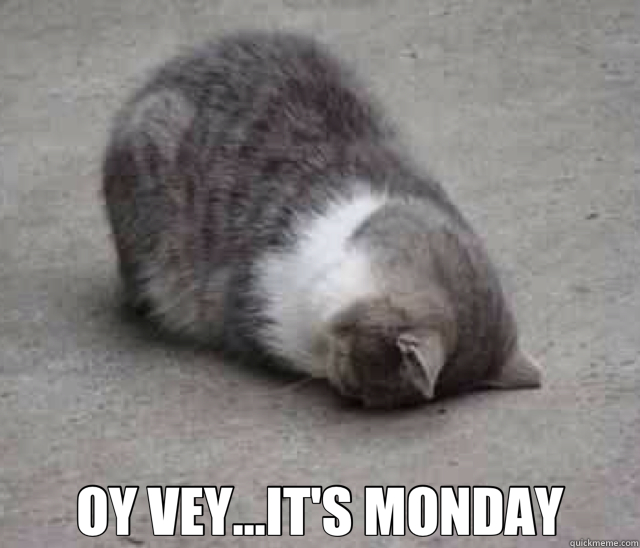  OY VEY...IT'S MONDAY -  OY VEY...IT'S MONDAY  Oy Cat