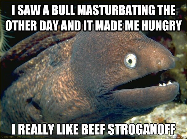 I saw a bull masturbating the other day and it made me hungry I really like beef stroganoff - I saw a bull masturbating the other day and it made me hungry I really like beef stroganoff  Bad Joke Eel