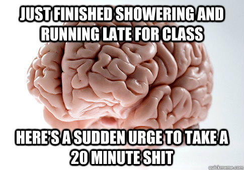 just finished showering and running late for class here's a sudden urge to take a 20 minute shit   Scumbag Brain