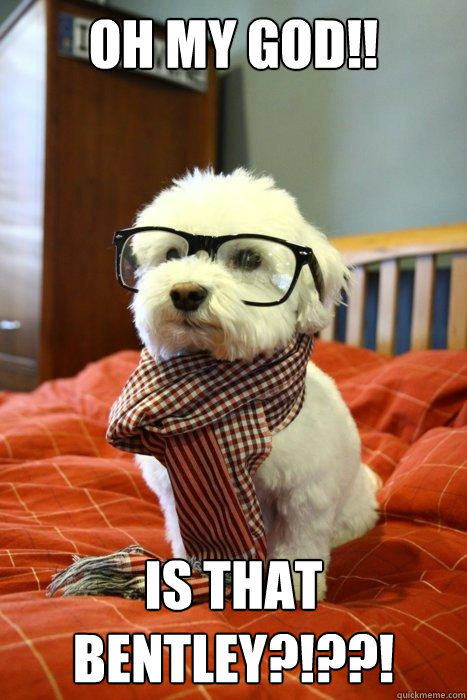 oh my god!! is that bentley?!??!  Hipster Dog