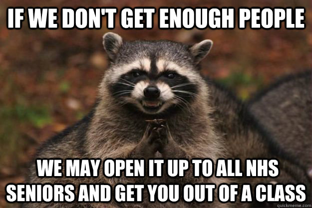 If we don't get enough people  we may open it up to all NHS seniors and get you out of a class  Evil Plotting Raccoon