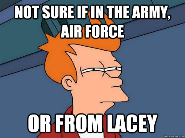 Not sure if in the army, air force Or from Lacey - Not sure if in the army, air force Or from Lacey  Futurama Fry