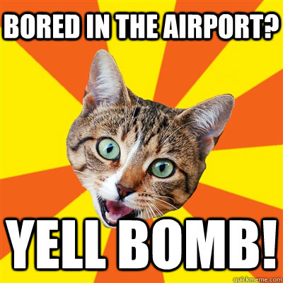 Bored in the airport? Yell BOMB!  Bad Advice Cat