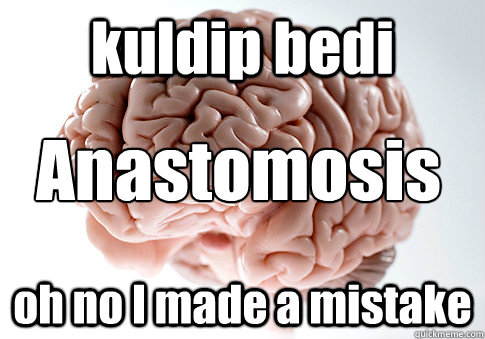 kuldip bedi oh no I made a mistake Anastomosis  Scumbag Brain