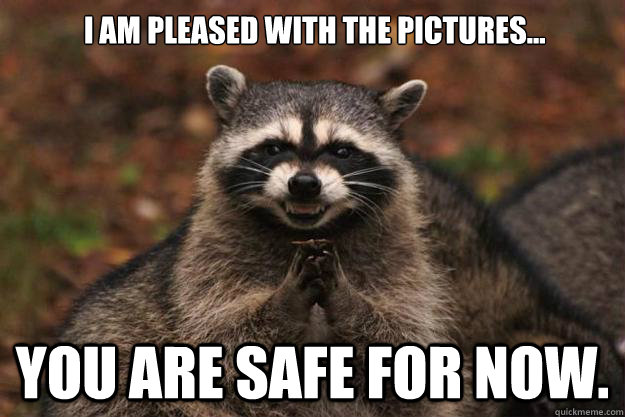 I am pleased with the pictures... You are safe for now. - I am pleased with the pictures... You are safe for now.  Evil Plotting Raccoon