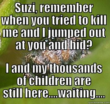 SUZI, REMEMBER WHEN YOU TRIED TO KILL ME AND I JUMPED OUT AT YOU AND HID? I AND MY THOUSANDS OF CHILDREN ARE STILL HERE....WAITING.... Misunderstood Spider