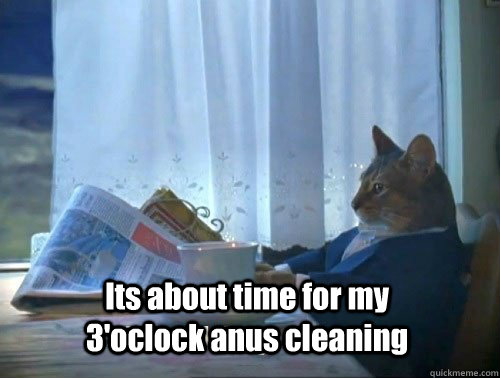 Its about time for my 3'oclock anus cleaning  Fancy Cat