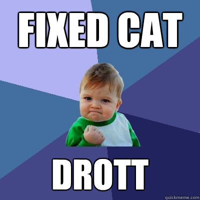 fixed cat drott  Success Kid