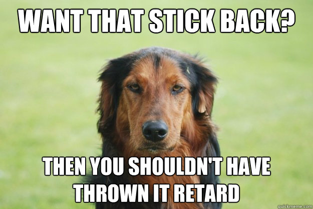 Want that stick back? Then you shouldn't have thrown it retard  