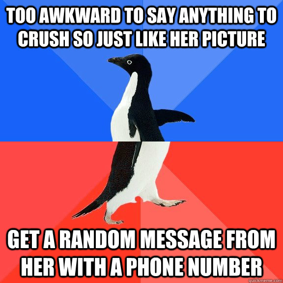 Too awkward to say anything to crush so just like her picture get a random message from her with a phone number  Socially Awkward Awesome Penguin