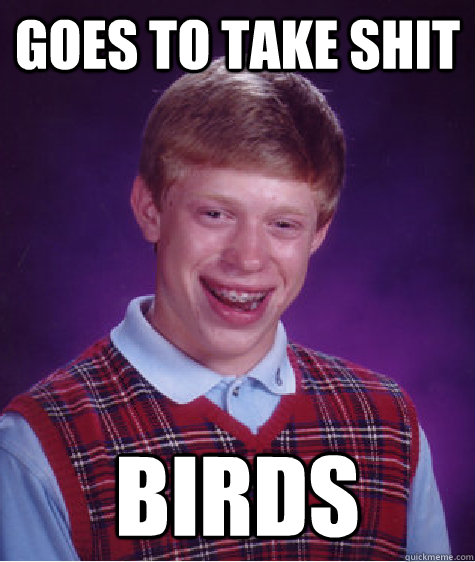 Goes to take shit Birds  Bad Luck Brian