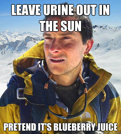 Leave urine out in the sun pretend it's blueberry juice  Bear Grylls