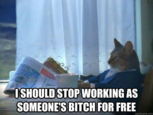  I should stop working as someone's bitch for free  morning realization newspaper cat meme