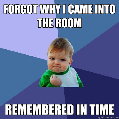 Forgot why I came into the room Remembered in time  Success Kid