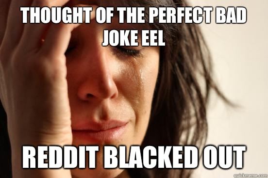 Thought of the perfect bad joke eel Reddit blacked out  First World Problems