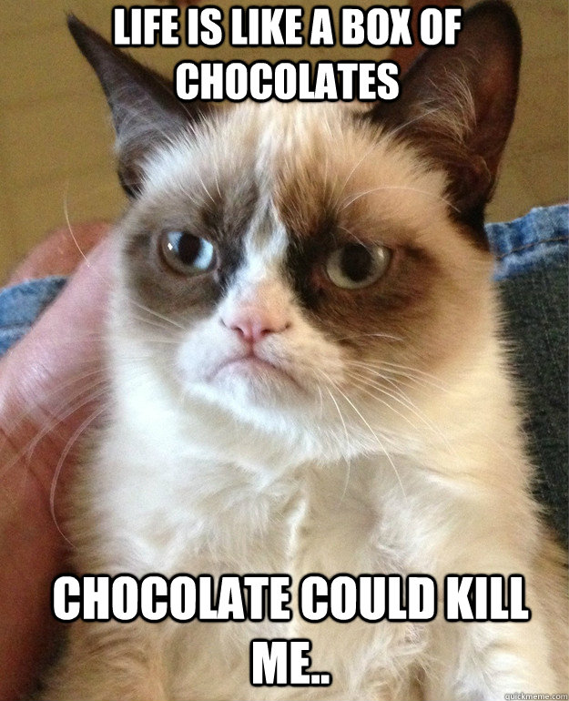 Life is like a box of chocolates Chocolate could kill me..   Grumpy Cat