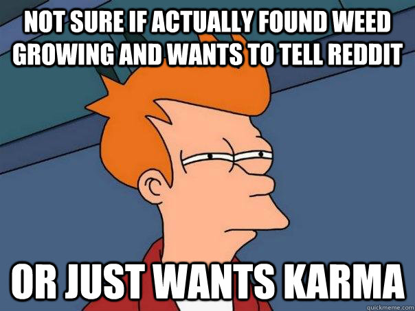 Not sure if Actually found weed growing and wants to tell reddit Or just wants karma - Not sure if Actually found weed growing and wants to tell reddit Or just wants karma  Futurama Fry