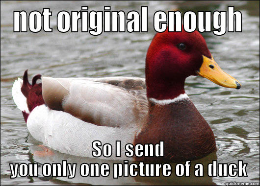 NOT ORIGINAL ENOUGH SO I SEND YOU ONLY ONE PICTURE OF A DUCK Malicious Advice Mallard