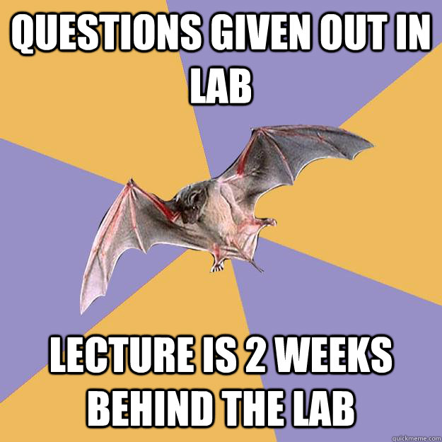 questions given out in lab Lecture is 2 weeks behind the lab - questions given out in lab Lecture is 2 weeks behind the lab  Engineering Major Bat