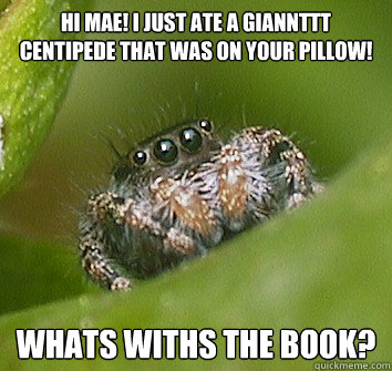 Hi Mae! I just ate a giannttt centipede that was on your pillow! Whats withs the book?  Misunderstood Spider