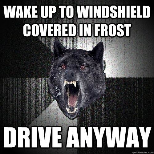 Wake up to windshield covered in frost drive anyway - Wake up to windshield covered in frost drive anyway  Insanity Wolf