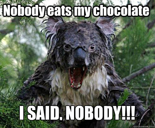 Nobody eats my chocolate I SAID, NOBODY!!!   Angry Koala