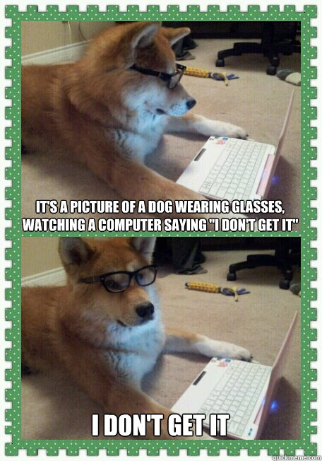 It's a picture of a dog wearing glasses, watching a computer saying 