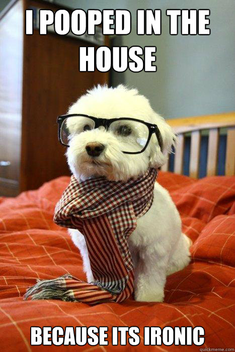 I pooped in the house because its ironic  Hipster Dog