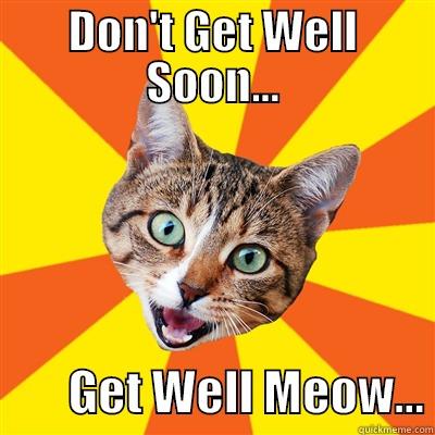 DON'T GET WELL SOON...         GET WELL MEOW... Bad Advice Cat